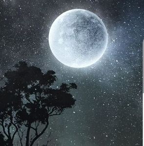 Meet your Posher, Lee